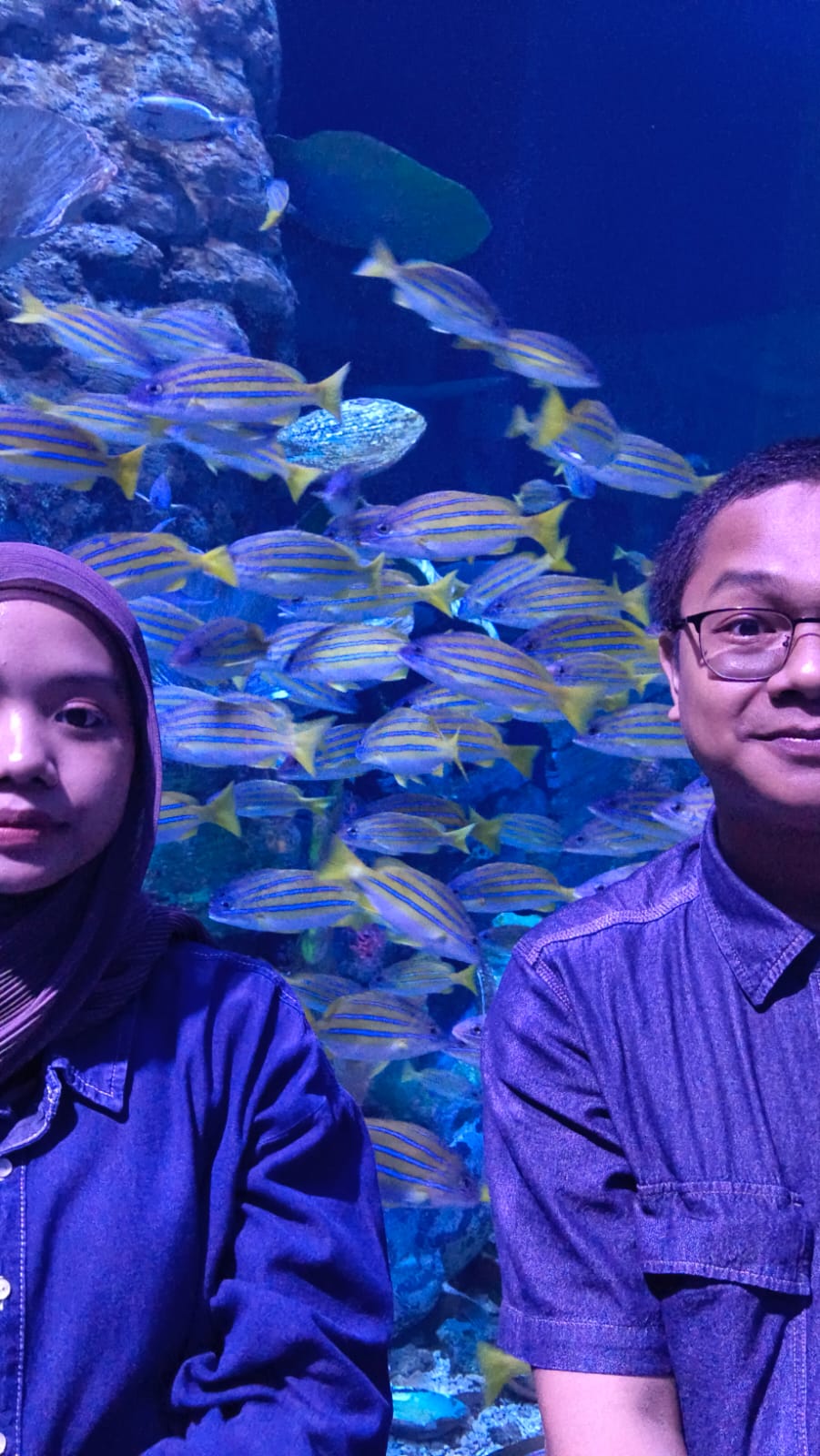Momen di Akuarium